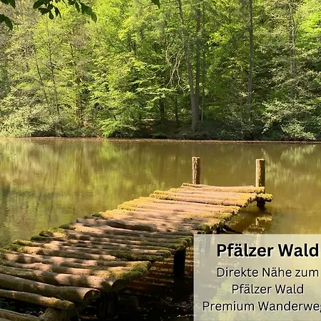 Easypartment Am Pfaelzer Wald Naehe Outlet Center Zweibruecken Lejlighed Pirmasens Eksteriør billede