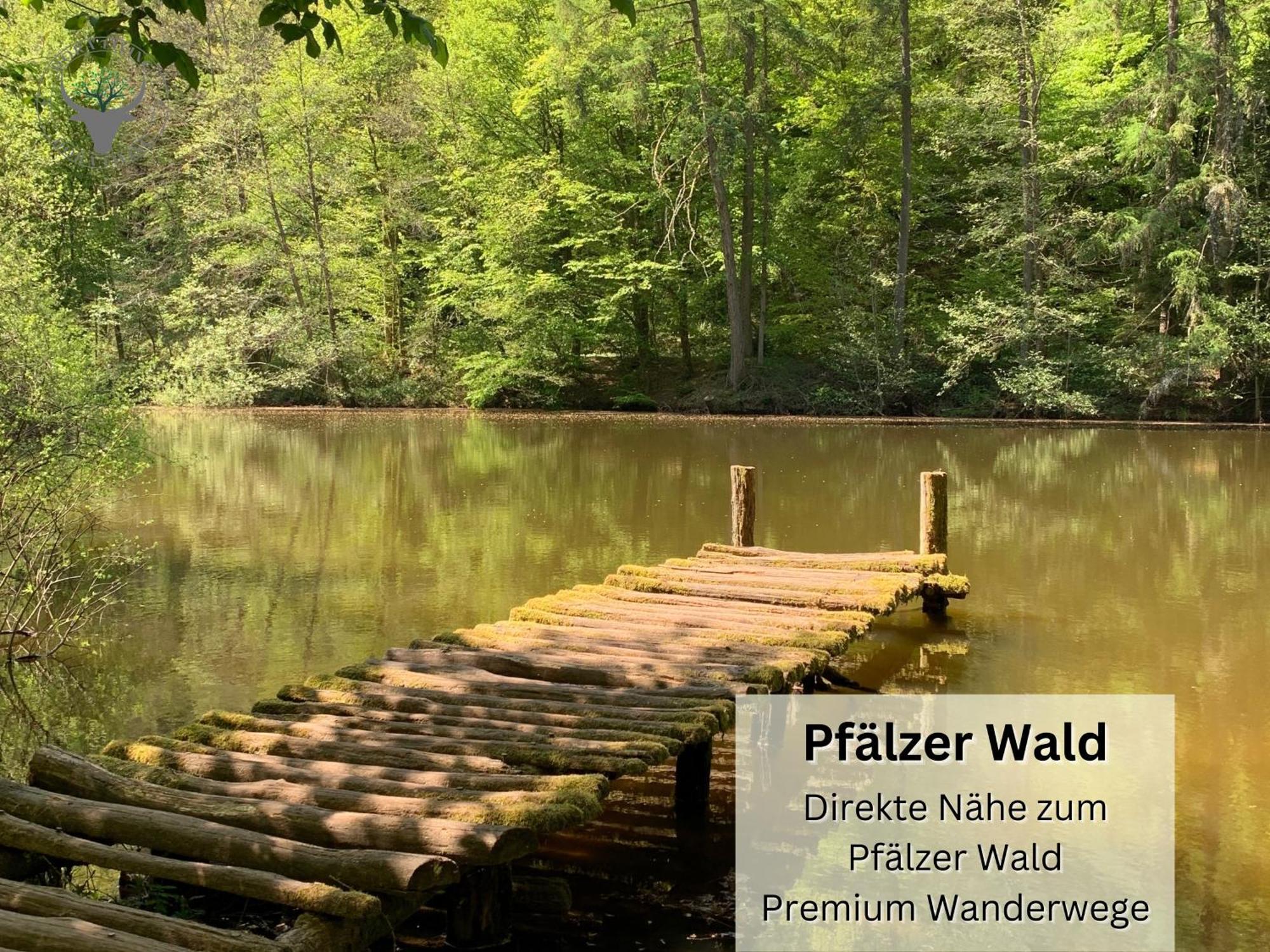 Easypartment Am Pfaelzer Wald Naehe Outlet Center Zweibruecken Pirmasens